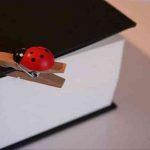 10 libros recomendados para emprendedores y empresarios jóvenes. Aprende de los mejores